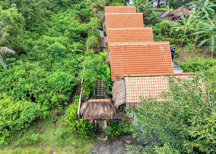 Cassava Penida Gasthuis Ped