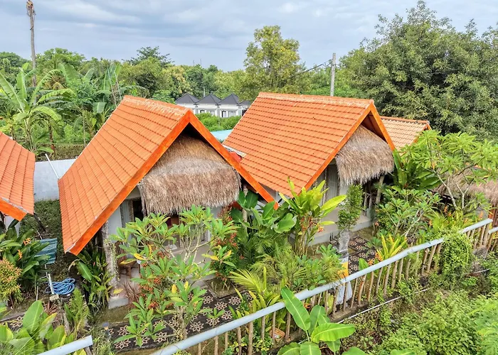 Cassava Penida