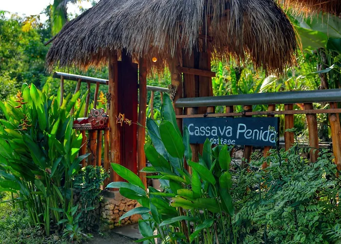 Cassava Penida Ped